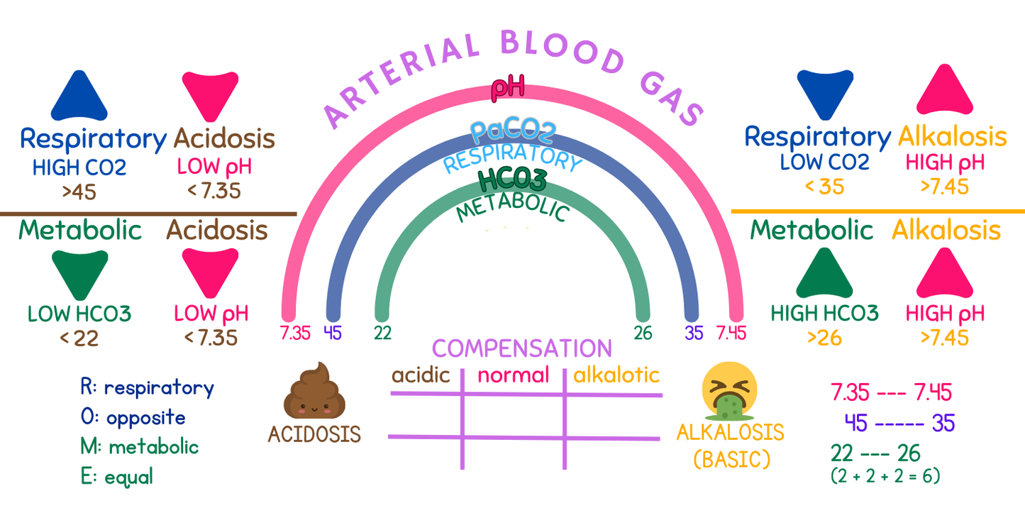 ABG Rainbow Expansion