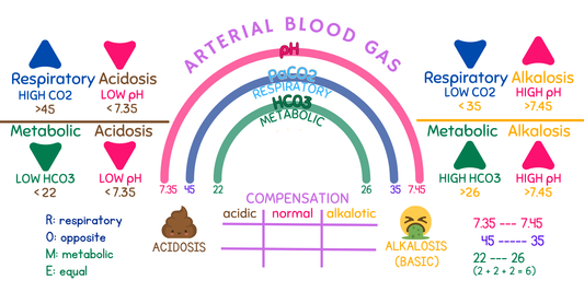 ABG Rainbow Expansion