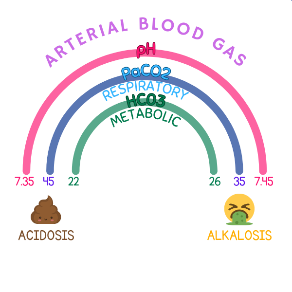 Arterial Blood Gas Rainbow